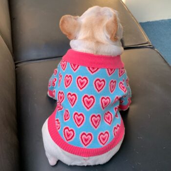 Pull pour chien Coeur rose | 2024