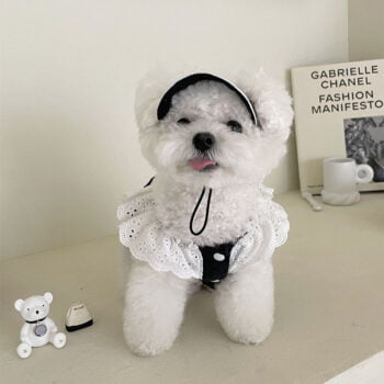 Robe pour chien Chanel | 2024