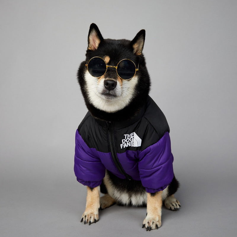 Veste pour chien The North Face | 2024