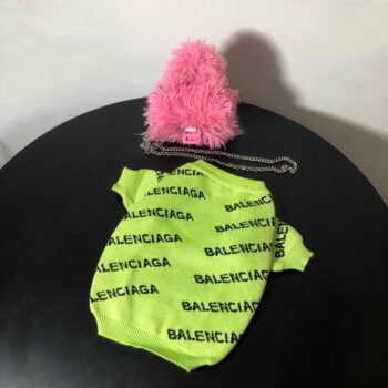Pull pour chien Balenciaga - 2025 - Vêtement et accessoires pour chiens - Doglovedesign