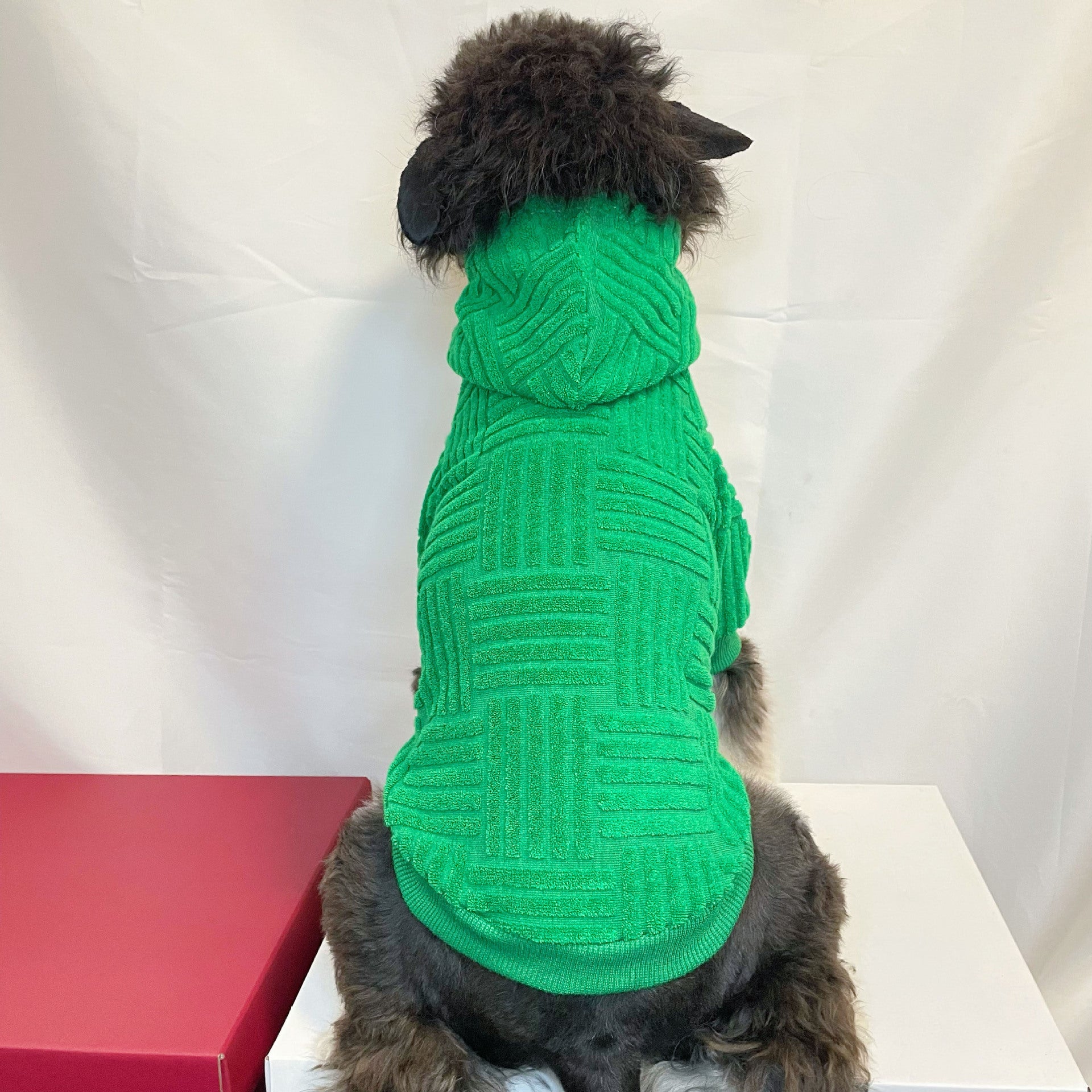 Sweat à capuche pour chien Fendi | 2024