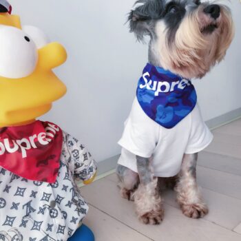 Bandana Chien Supreme : Luxe & Style pour Toutou | 2024