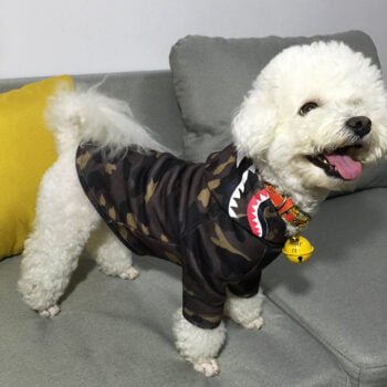 Sweat à capuche pour chien Bape | 2025