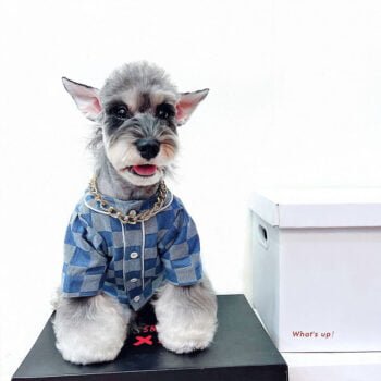 Veste pour chien Badgod - 2025 - Vêtement et accessoires pour chiens - Doglovedesign