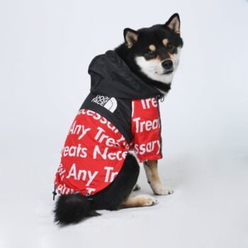 Veste pour chien The North Face - 2025 - Vêtement et accessoires pour chiens - Doglovedesign