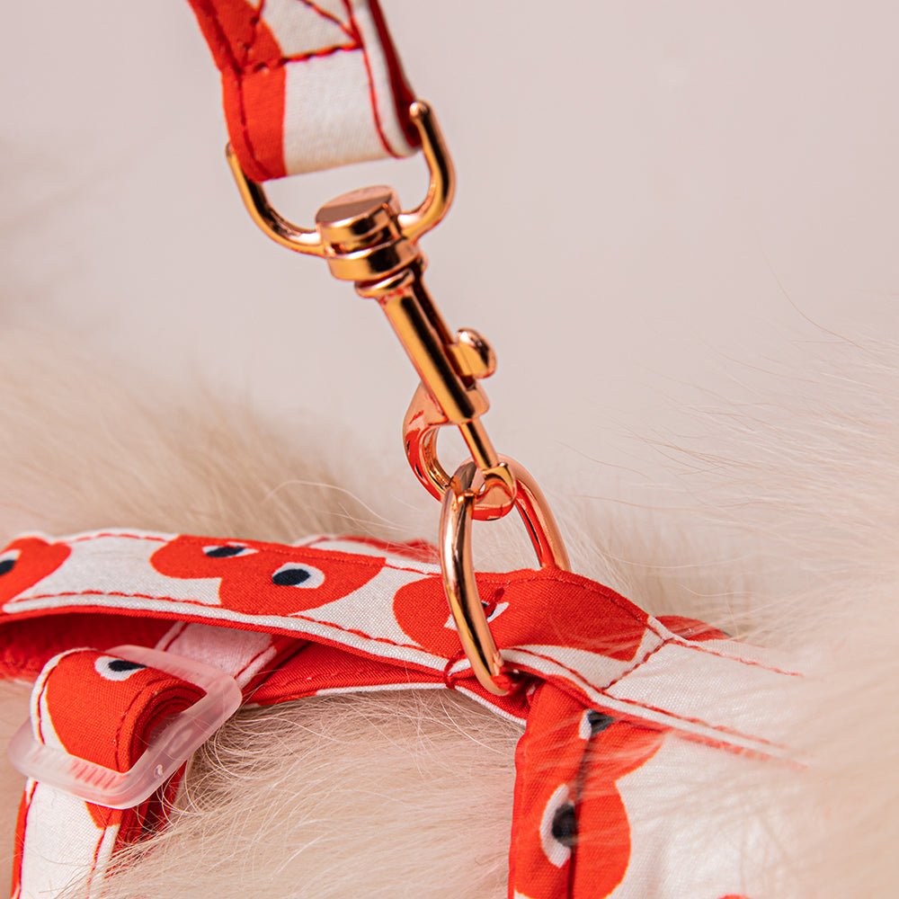 Accessoires de Luxe pour Chiens : Laisse et Harnais CDG Coeur Rouge | 2024