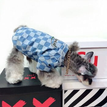 Veste pour chien Badgod - 2025 - Vêtement et accessoires pour chiens - Doglovedesign