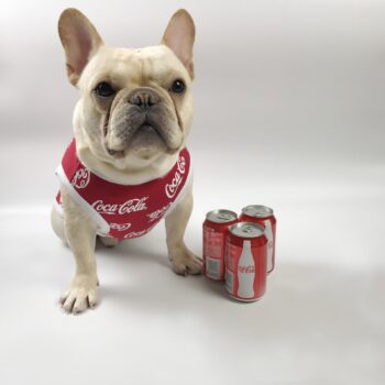 Gilet sans manches pour chien Coca Cola | 2024