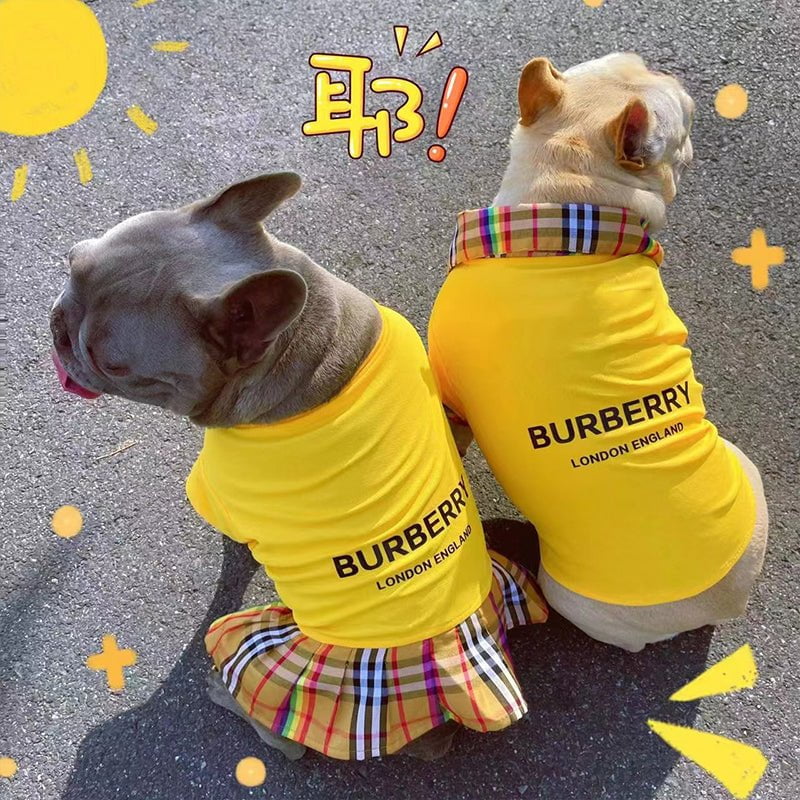 Robe Burberry pour Chiens - Distinction et Style Canin | 2024