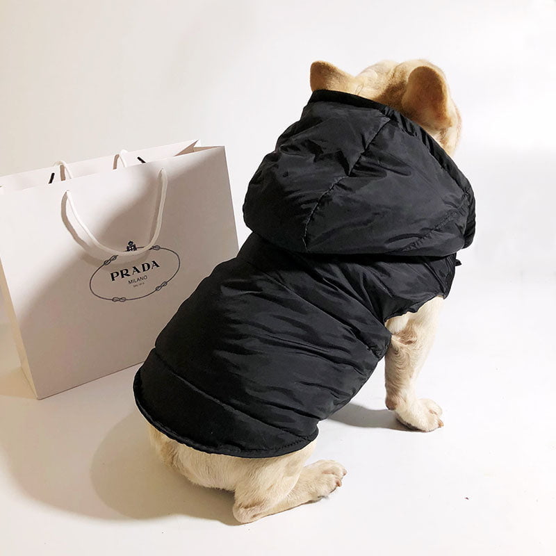 Veste pour chien Prada | 2024