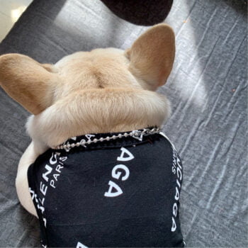 Gilet sans manches pour chien Balenciaga - 2025 - Vêtement et accessoires pour chiens - Doglovedesign