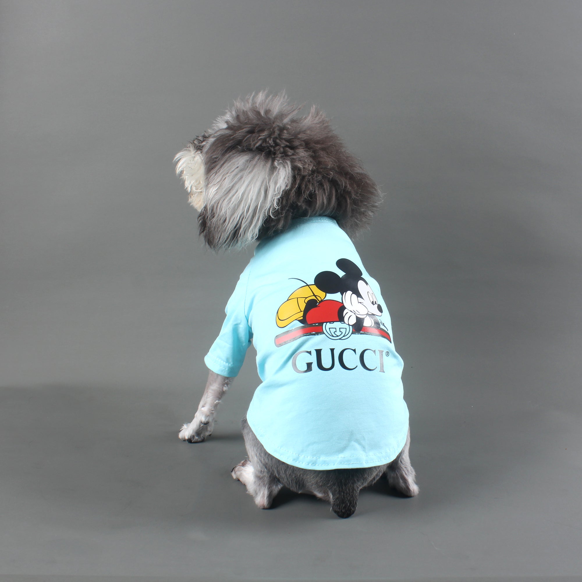 T-shirt pour chien Gucci | 2024