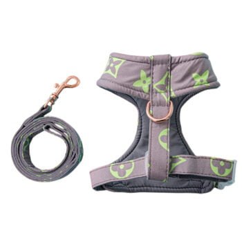 Collier et Harnais Pawtton pour Chiens - 2025 - Vêtement et accessoires pour chiens - Doglovedesign