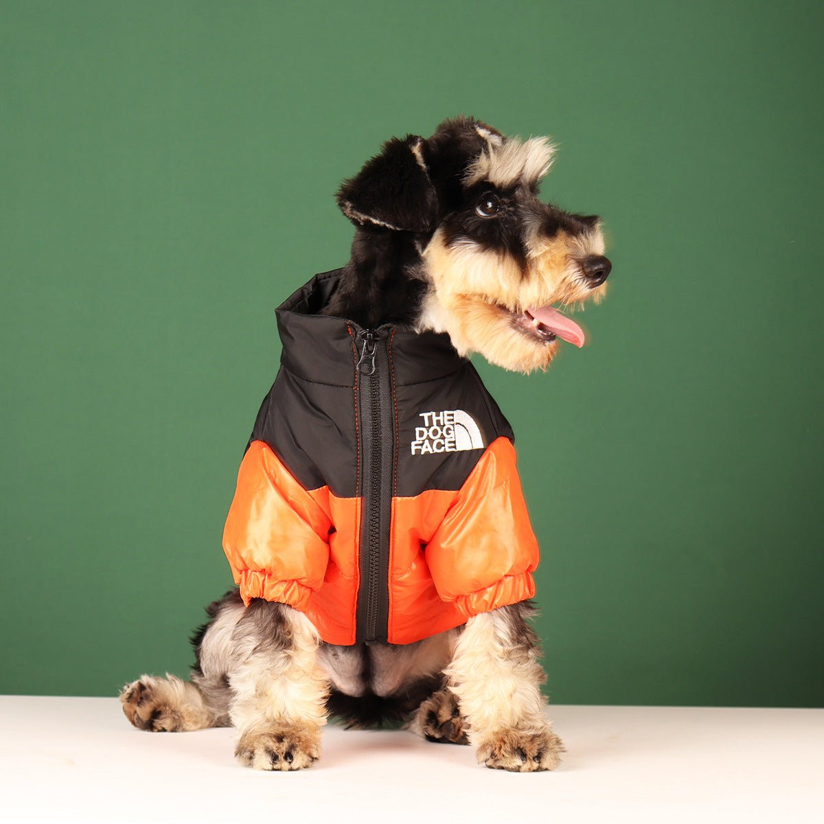 Veste pour chien The North Face - 2025 - Vêtement et accessoires pour chiens - Doglovedesign