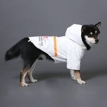 Veste pour chien Nasa | 2024