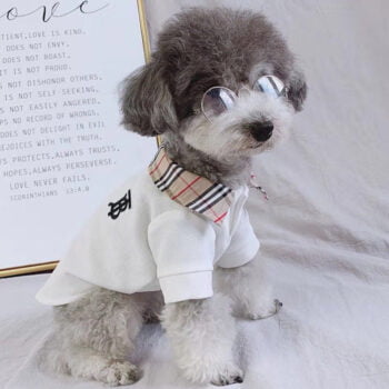 T-shirt pour chien Burberry | 2025