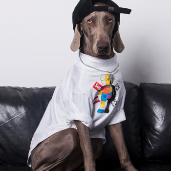 Vêtements Grands Chiens Supreme | 2024