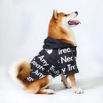 Veste pour chien The North Face - 2025 - Vêtement et accessoires pour chiens - Doglovedesign