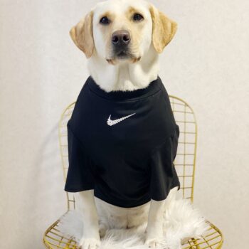 Vêtements pour grands chiens Nike | 2025