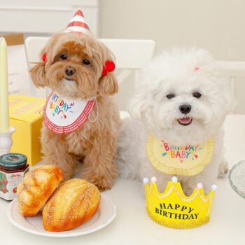 Bandana Anniversaire pour chiens | 2024