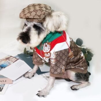 Veste pour chien Gucci | 2024