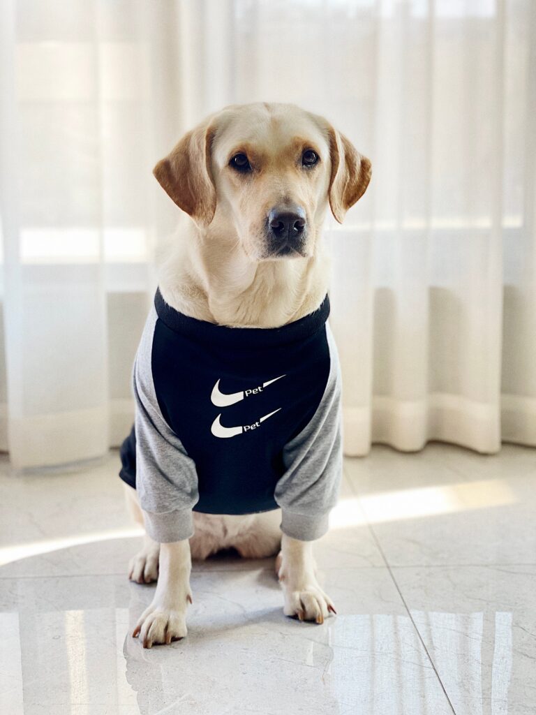 Acheter Vêtements Grands Chiens Nike 2024