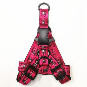 Collier et harnais pour chien Off White - 2025 - Vêtement et accessoires pour chiens - Doglovedesign