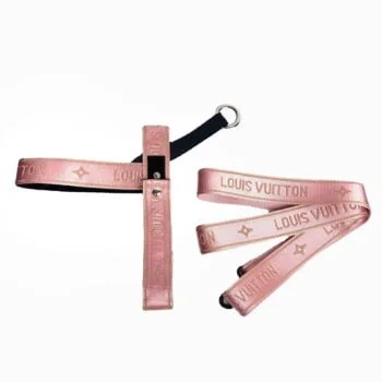 Collier et harnais pour chien Louis Vuitton | 2023