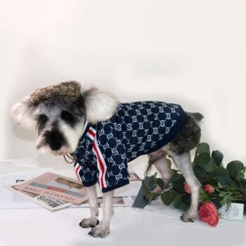 Veste pour chien Pawcci - 2025 - Vêtement et accessoires pour chiens - Doglovedesign