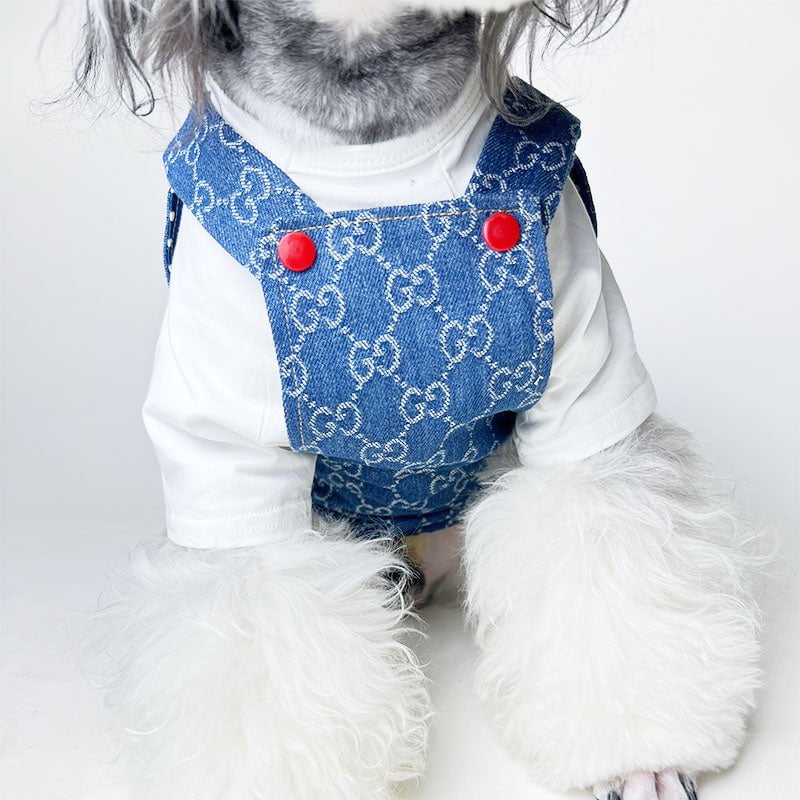 Robe pour chien Gucci | 2024