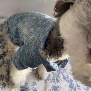 Veste en jean à fleurs pour chiens | 2024