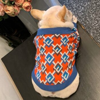 Pull pour chien Gucci | 2024