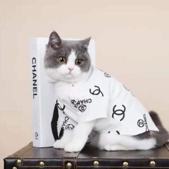 T-shirt pour chien Chanel | 2024