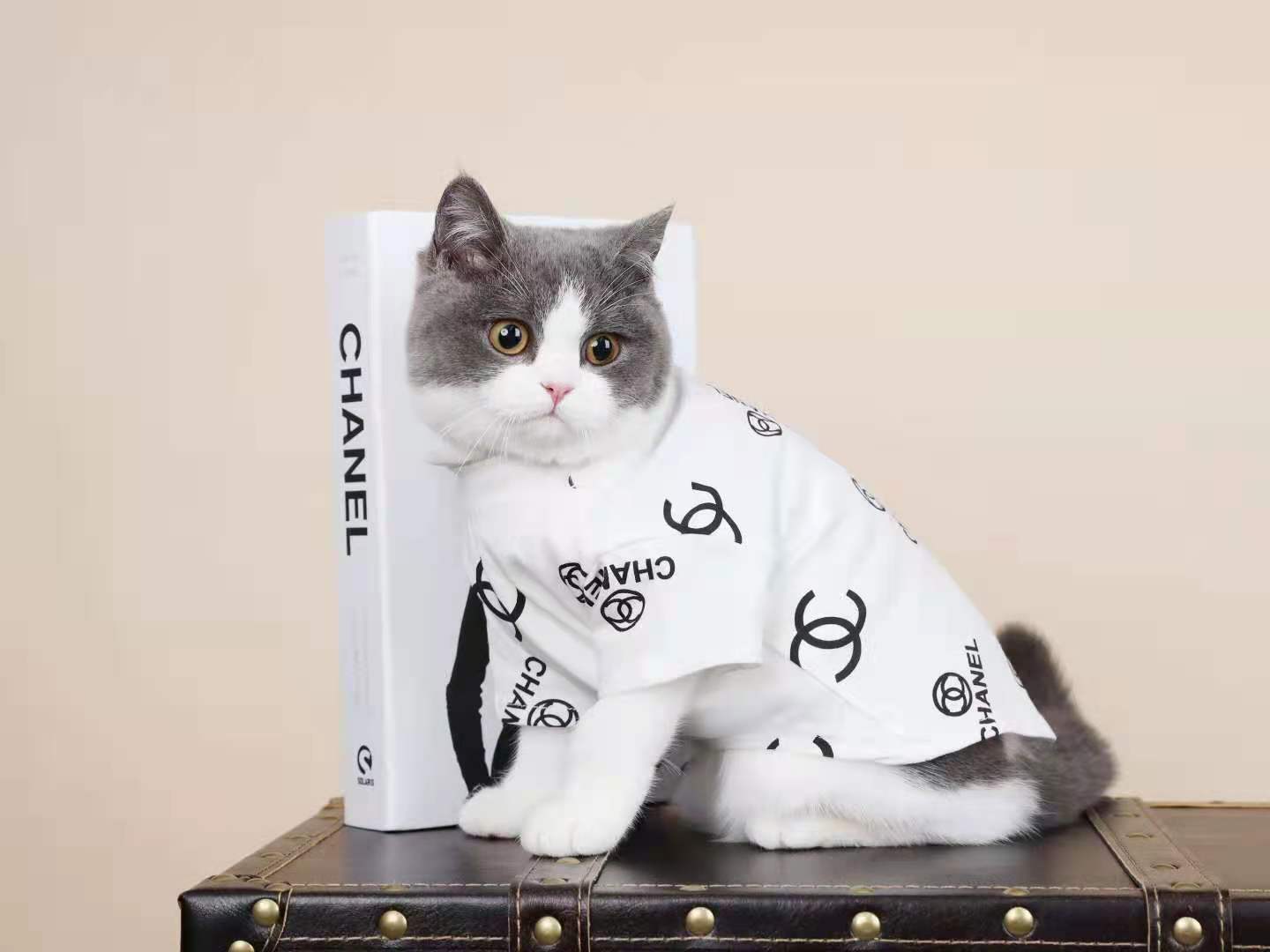 T-shirt pour chien Chanel | 2024