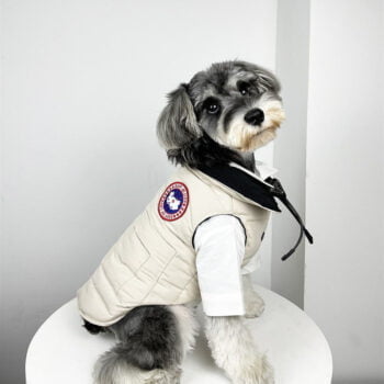 Veste pour chien Canada Goose | 2024