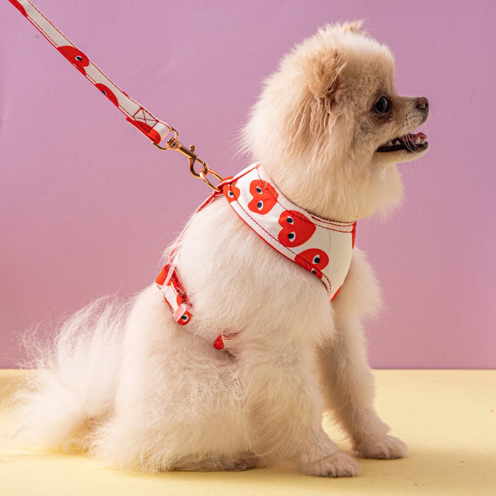 Accessoires de Luxe pour Chiens : Laisse et Harnais CDG Coeur Rouge | 2024