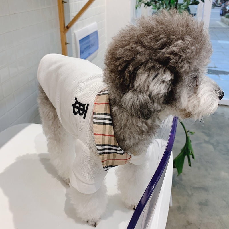 T-shirt pour chien Burberry | 2025