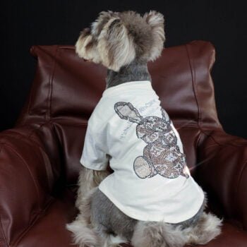 T-shirt pour chien Louis Pawtton | 2024