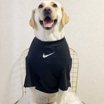 Vêtements pour grands chiens Nike | 2025