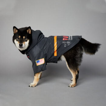 Veste pour chien Nasa | 2024