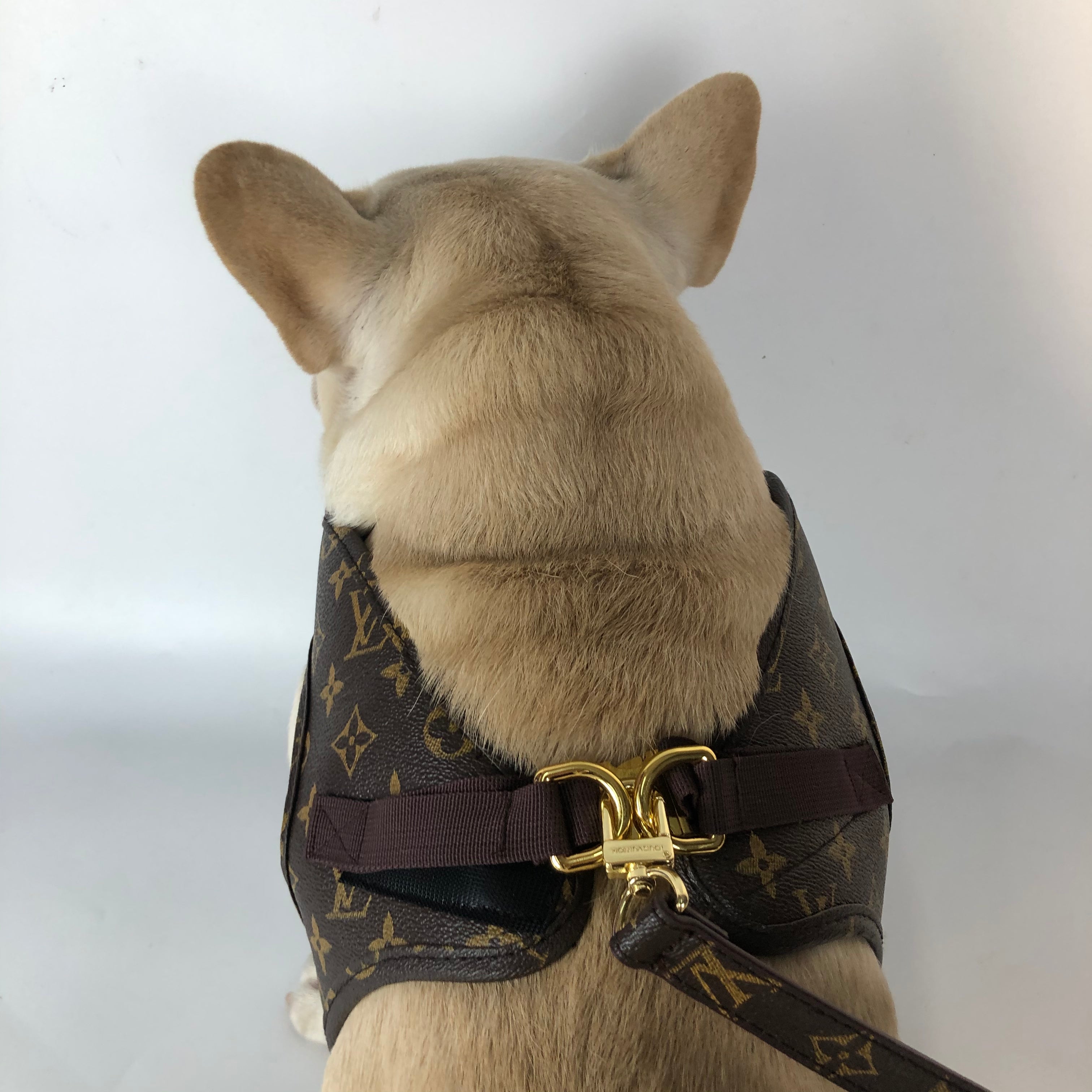 Collier et harnais pour chien Louis Vuitton | 2023