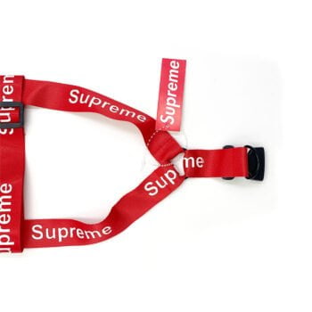 Collier et harnais pour chien Supreme | 2024