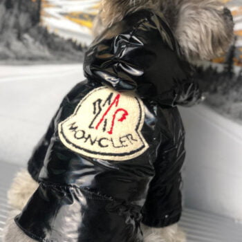 Veste pour chien Moncler | 2024