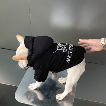 Veste pour chien | 2024