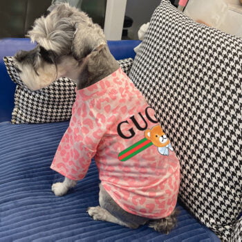 T-shirt pour chien Gucci | 2024