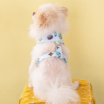 Collier et Harnais Pawtton pour Chiens - 2025 - Vêtement et accessoires pour chiens - Doglovedesign