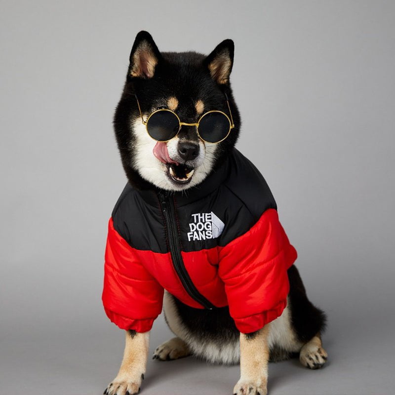 Veste pour chien The North Face - 2025 - Vêtement et accessoires pour chiens - Doglovedesign