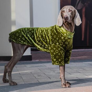 Vêtements Grands Chiens Louis Pawtton | 2025