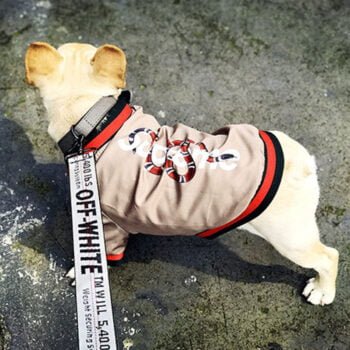 Veste pour chien Gucci | 2025