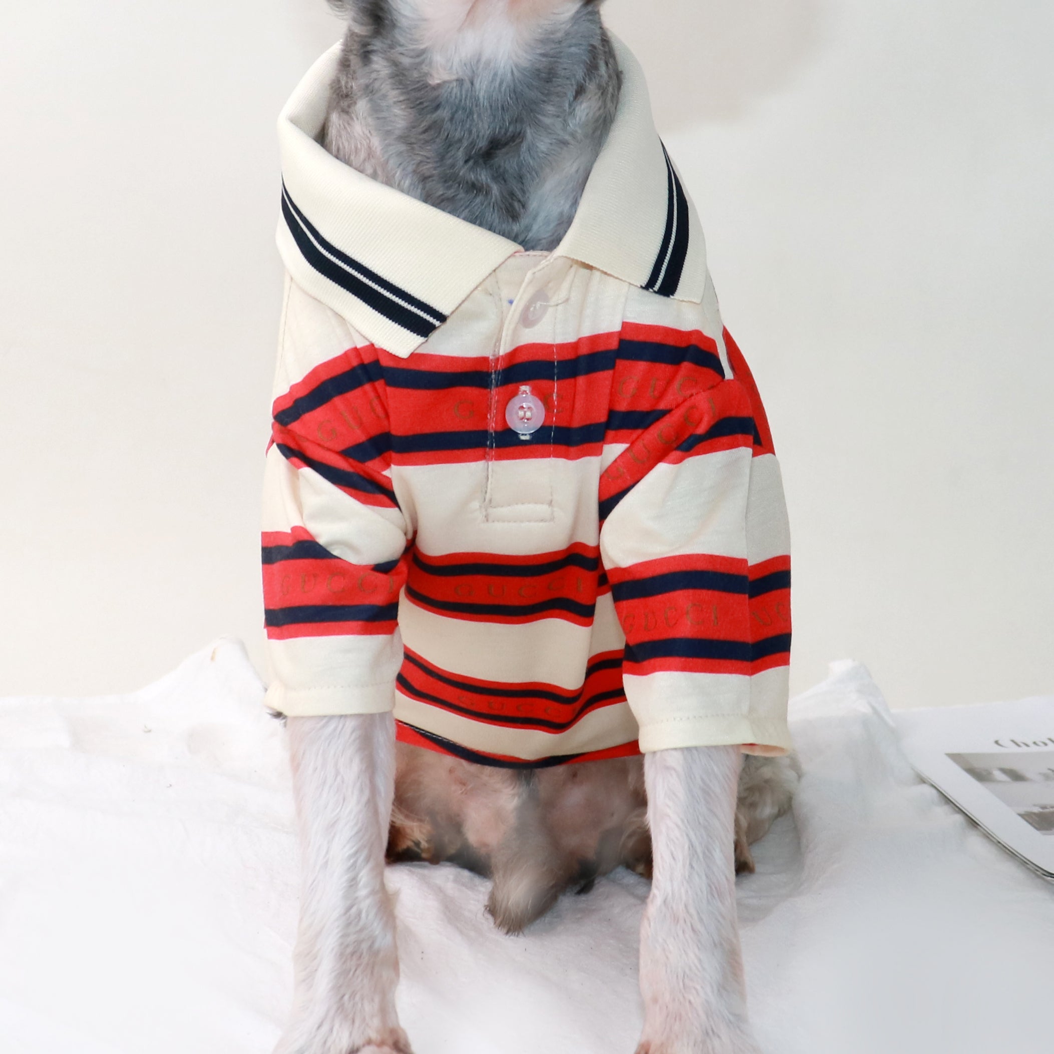 T-shirt pour chien Gucci | 2025